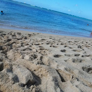 Meet your Posher, Theresa